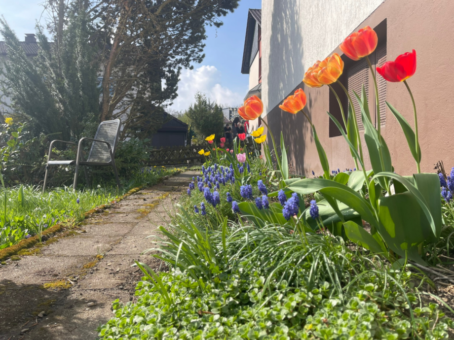 Au�enanlagen Zweifamilienhaus Balve