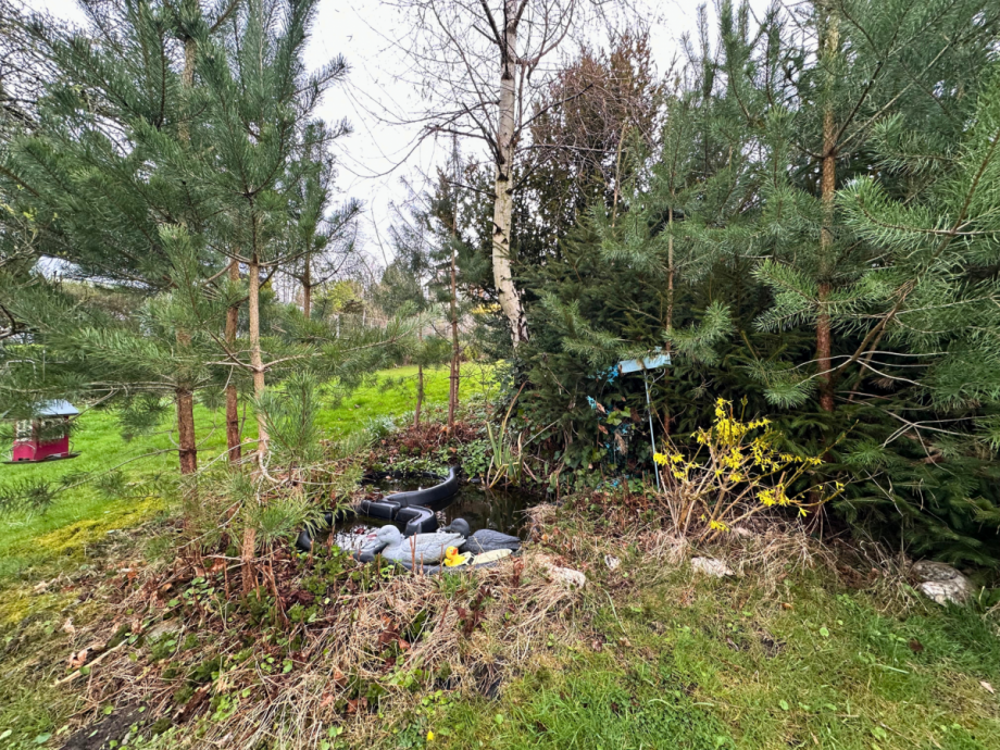 Teich Zweifamilienhaus Altena