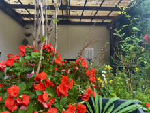 �berdachte Terrasse Stadtnahe Doppelhaush�lfte mit Garten und Garage - ideal f�r Handwerker & Gestalter
