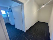 Abstellraum Erdgeschosswohnung  Dornr�schen  erwacht aus ihrem Sch�nheitsschlaf